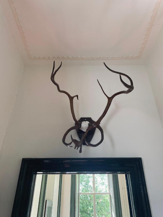 Pastorie Tijdverblijf Zuidhorn 外观 照片